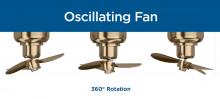 PROG_Oscillating-Fan_info.jpg