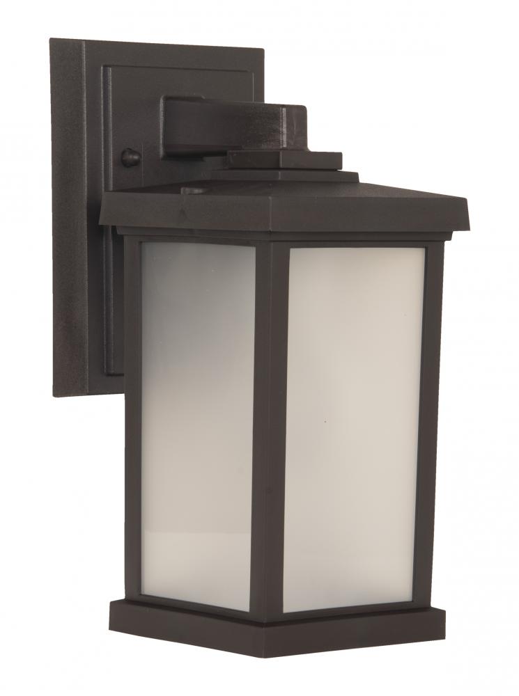 Resilience 1 Light Small Outdoor Wall Lantern in Bronze
