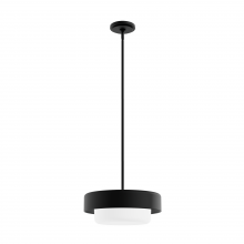 Hunter 19271 - Hunter Station Natural Black Iron with Frosted Cased White Glass 2 Light Pendant Ceiling Light Fixtu