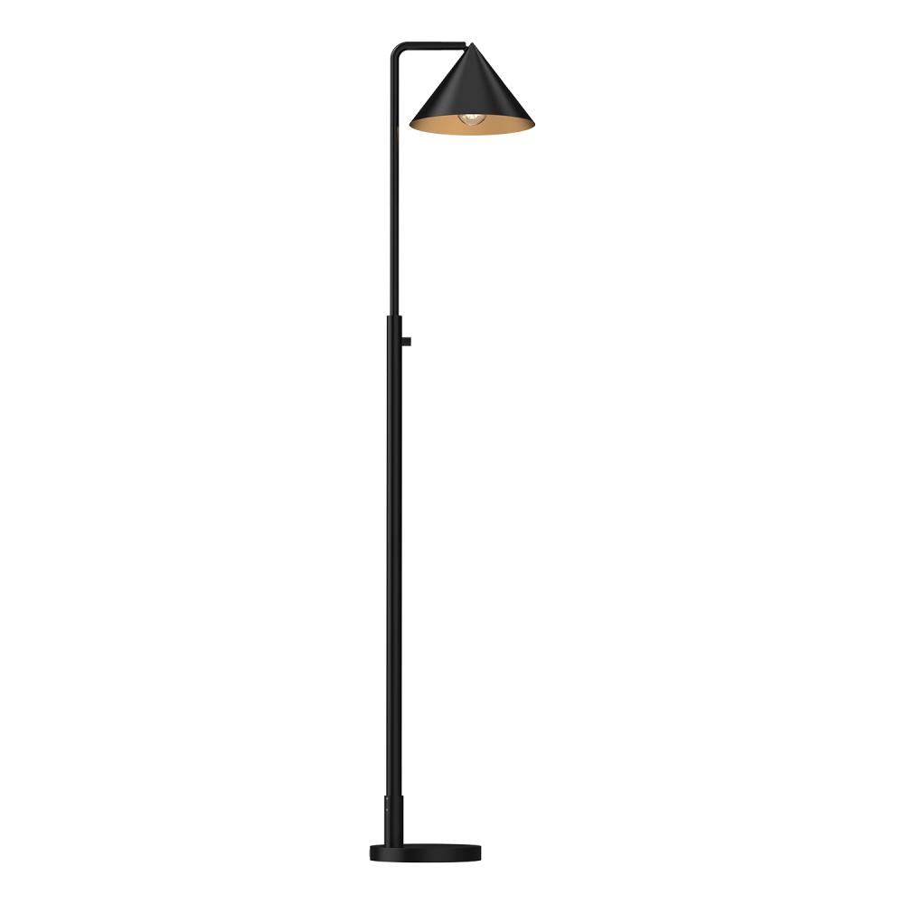 Remy 58-in Matte Black 1 Light Floor Lamp