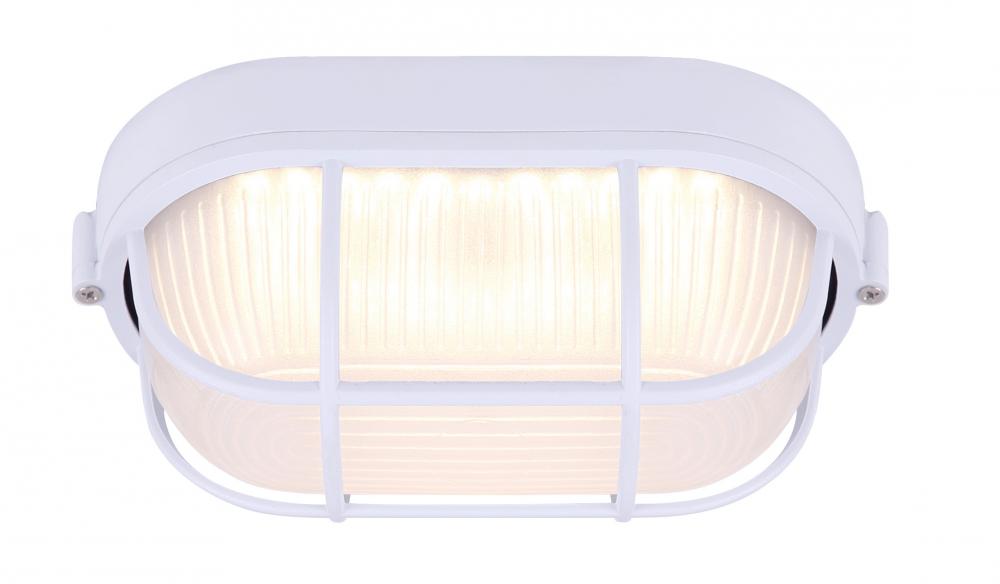LED Outdoor Light, Frosted Glass, 12W Integrated LED, 750 Lumens, 4.5inch W x 4