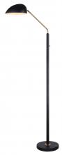 Canarm IFL1054A67BKG - HINTON, IFL1054A67BKG, GD + MBK Color, 1 Lt Floor Lamp, On/Off on Post, 60W Type